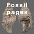 Fossil pages